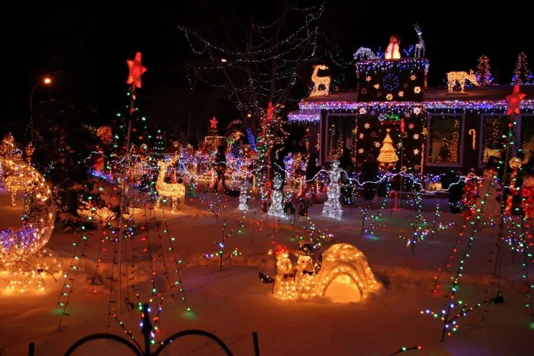 christmas shows