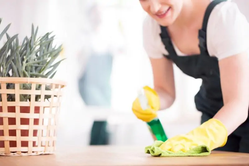 recurring cleaning services