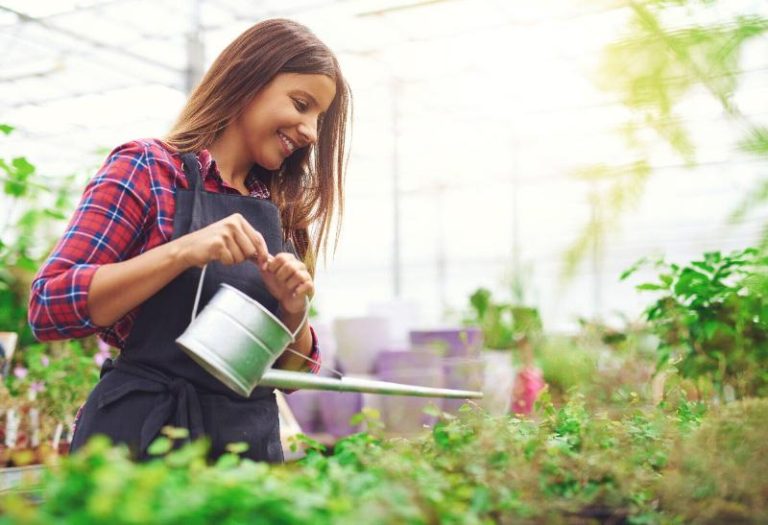 horticulture therapy programs